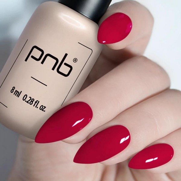Гел лак PNB 8 мл 207